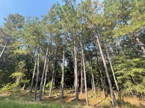 56 Green Olive Trail, Broken Bow, OK 74728