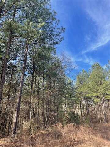 762 Timber Creek Trails South Xl, Broken Bow, OK 74728