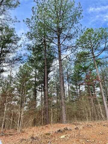 749 Timber Creek Trails South Xl, Broken Bow, OK 74728
