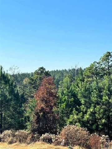 136 Charmed Ridge Lane, Broken Bow, OK 74728