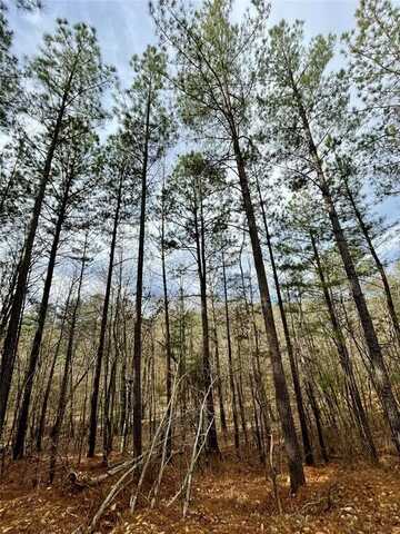 737 Timber Creek Trails South Xl, Broken Bow, OK 74728