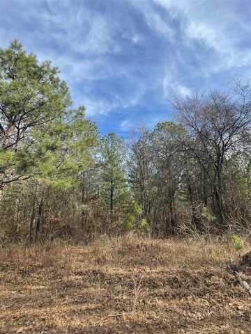732 Timber Creek Trails South Xl, Broken Bow, OK 74728
