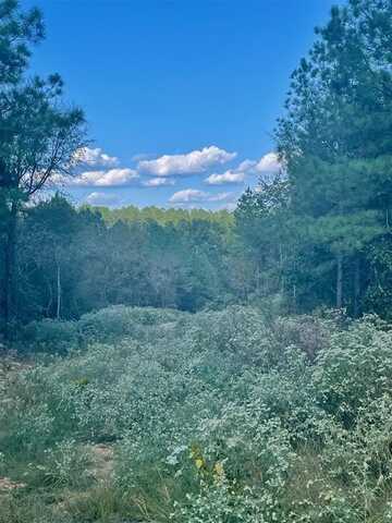 693 Timber Creek Trails South Xl, Broken Bow, OK 74728