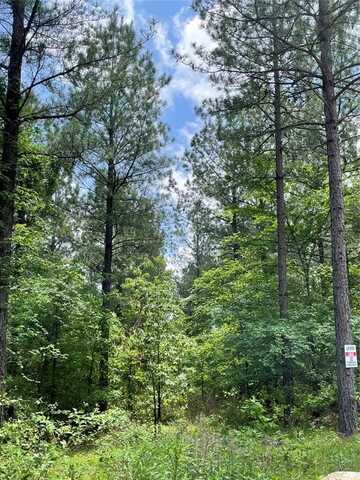 690 Timber Creek Trails South Xl, Broken Bow, OK 74728