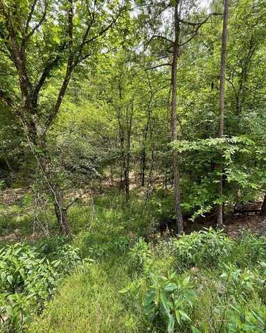 675 Timber Creek Trails South Xl, Broken Bow, OK 74728