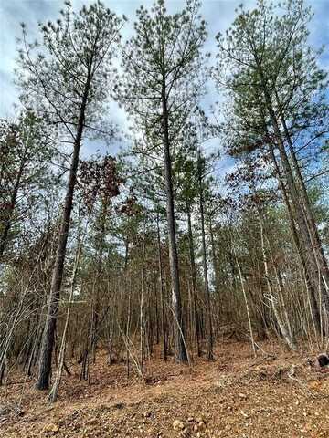 720 Timber Creek Trails South Xl, Broken Bow, OK 74728