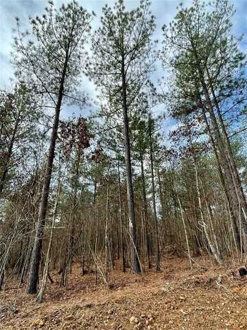 720 Timber Creek Trails South XI, Broken Bow, OK 74728