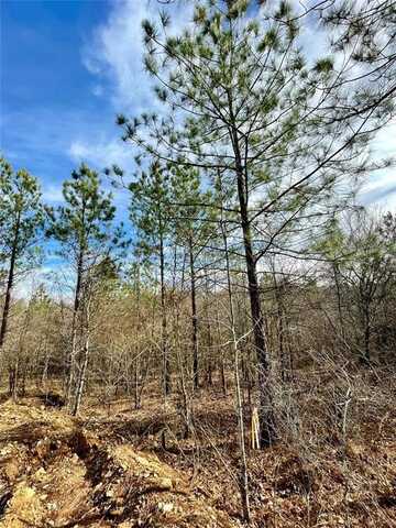 723 Timber Creek Trails South Xl, Broken Bow, OK 74728