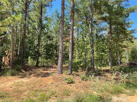 51 Cedar Hills Trail, Broken Bow, OK 74728