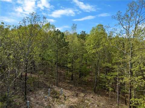 49 AJ Cedar Trail, Broken Bow, OK 74728