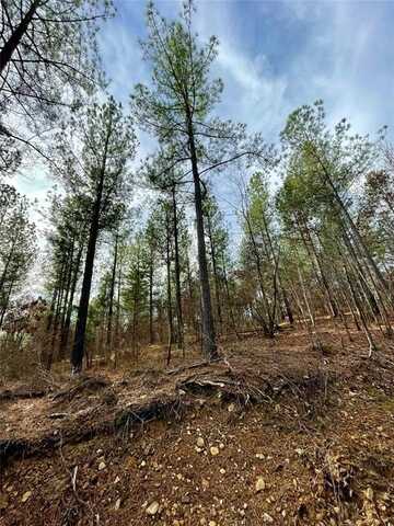 719 Timber Creek Trails South Xl, Broken Bow, OK 74728