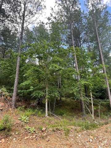 734 Timber Creek Trails South Xl, Broken Bow, OK 74728