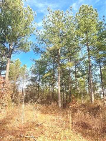 730 Timber Creek Trails South Xl, Broken Bow, OK 74728
