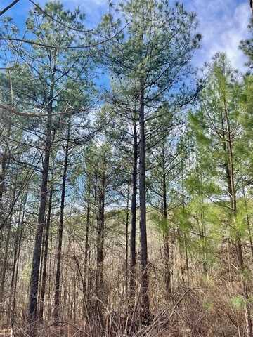 764 Timber Creek Trails South Xl, Broken Bow, OK 74728