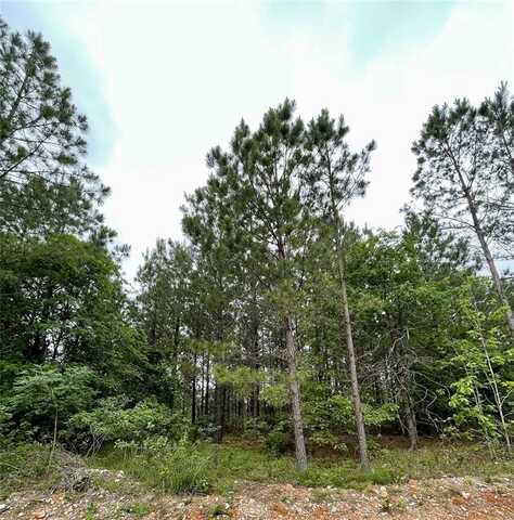 671 Timber Creek Trails South Xl, Broken Bow, OK 74728