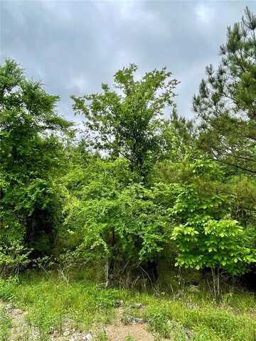 665 Timber Creek Trails South Xl, Broken Bow, OK 74728