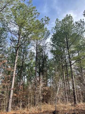 754 Timber Creek Trails South Xl, Broken Bow, OK 74728