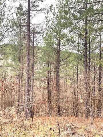 715 Timber Creek Trails South Xl, Broken Bow, OK 74728