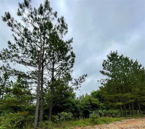 672 Timber Creek Trails South Xl, Broken Bow, OK 74728