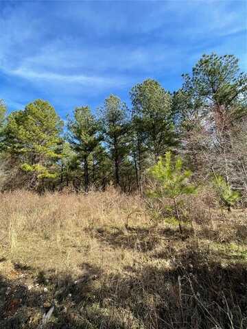 765 Timber Creek Trails South Xl, Broken Bow, OK 74728
