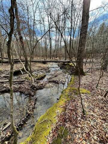 770 Timber Creek Trails South Xl, Broken Bow, OK 74728