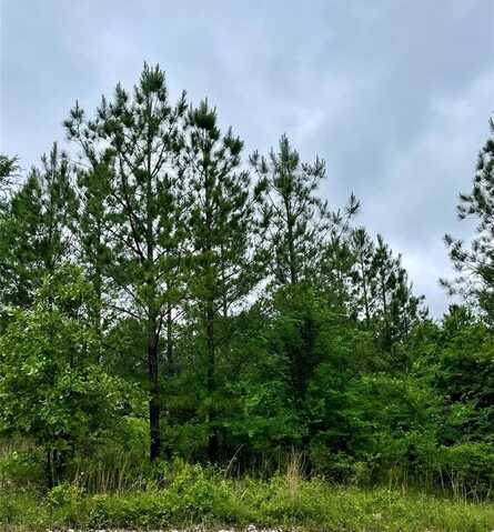 669 Timber Creek Trails South Xl, Broken Bow, OK 74728