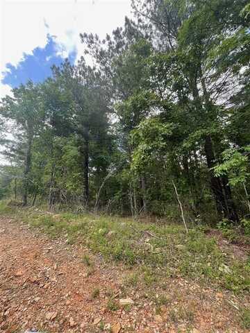 711 Timber Creek Trails South Xl, Broken Bow, OK 74728