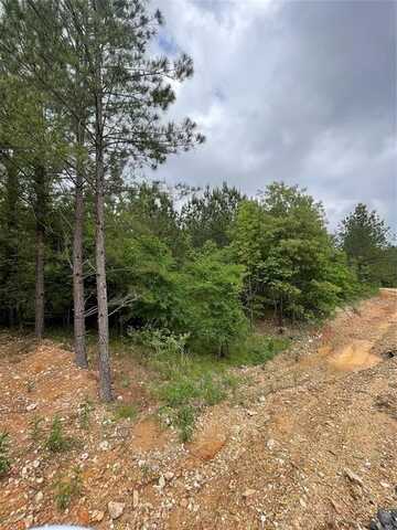 668 Timber Creek Trails South Xl, Broken Bow, OK 74728