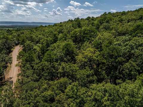 12 Timber Ridge Road, Tuskahoma, OK 74574