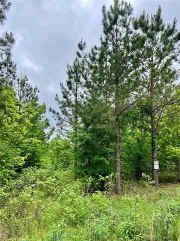 658 Timber Creek Trails South Xl, Broken Bow, OK 74728