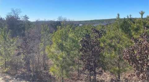 71 Southern Spruce Trail, Broken Bow, OK 74728