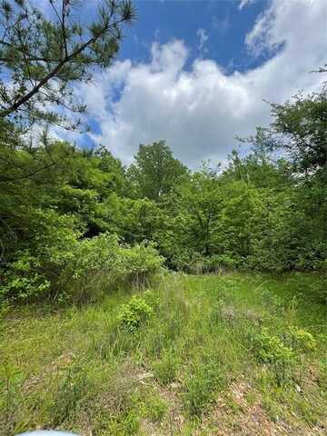 695 Timber Creek Trails South Xl, Broken Bow, OK 74728