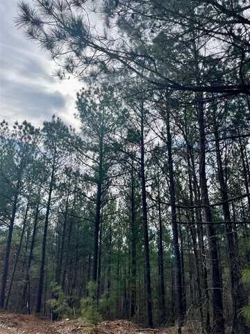777 Timber Creek Trails South Xl, Broken Bow, OK 74728