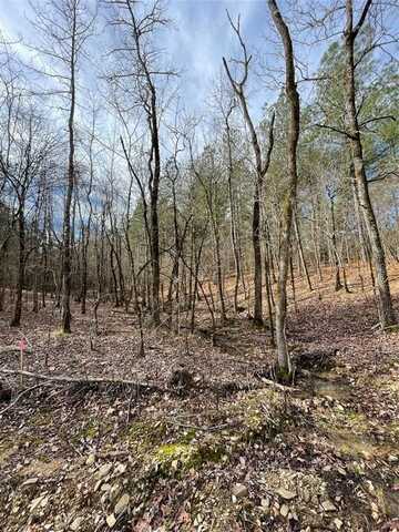768 Timber Creek Trails South Xl, Broken Bow, OK 74728