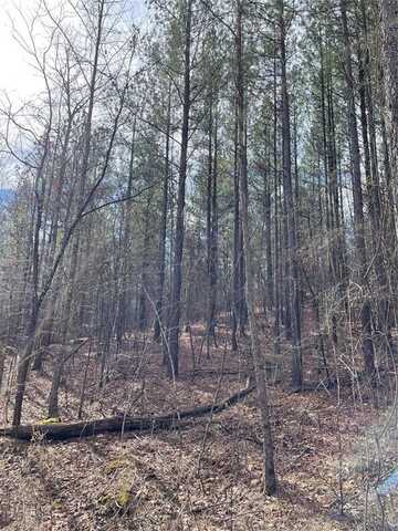 769 Timber Creek Trails South Xl, Broken Bow, OK 74728
