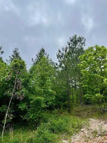 662 Timber Creek Trails South Xl, Broken Bow, OK 74728