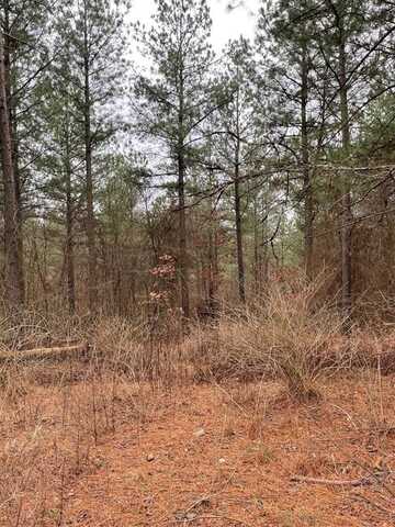 700 Timber Creek Trails South Xl, Broken Bow, OK 74728