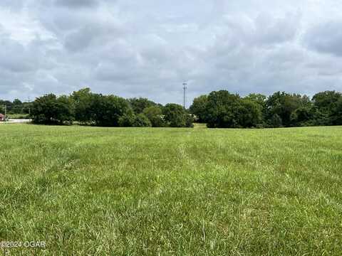 Lot 3 County Road 170, Carthage, MO 64836