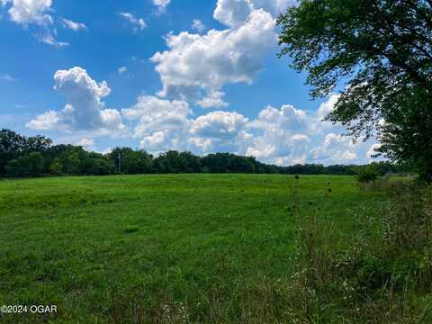 Tbd S 9.47 Acres County Road 118, Carthage, MO 64836