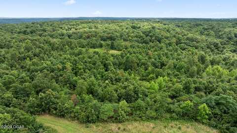 22.76 Acre Styles Road, Noel, MO 64854