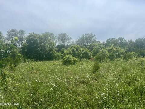 Lot 3 Hwy 112, Cassville, MO 65625