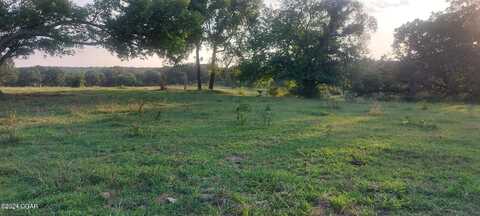 Hereford Road, Neosho, MO 64850