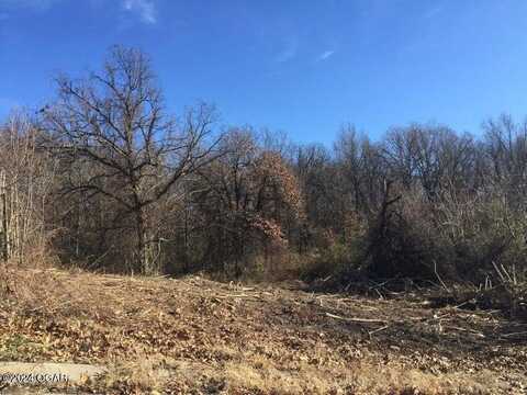 Lot 24 Deborah Drive, Neosho, MO 64850