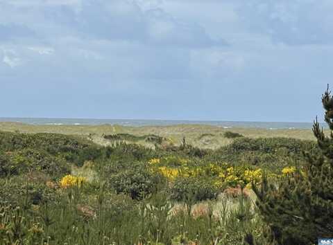 855 S Sand Dune Ave SW, Ocean Shores, WA 98569