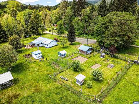 442 Grant Road, Beaver, WA 98331