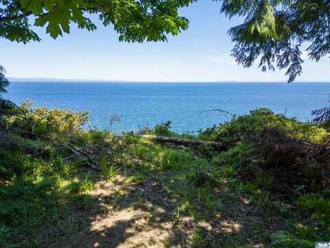 9999 N Bagley Creek Dr, Port Angeles, WA 98362