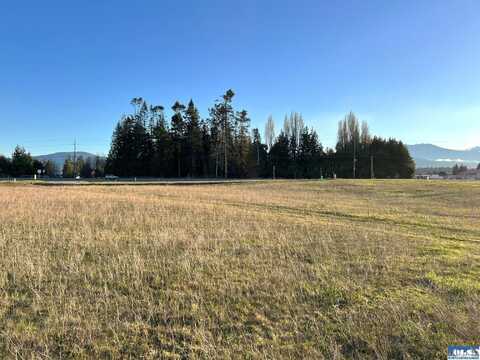 TBA Van Dyken Drive, Lot 20, Sequim, WA 98382