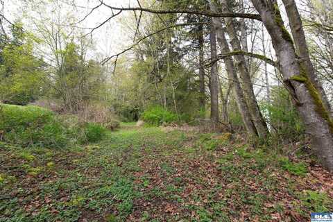 0 E Lindberg Road, Port Angeles, WA 98362