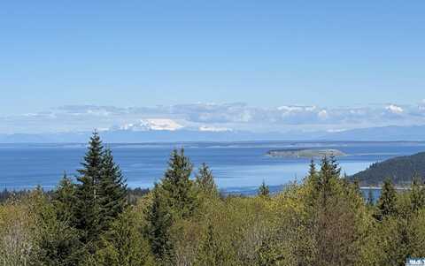 Lot 16 Elk Pass, Sequim, WA 98382