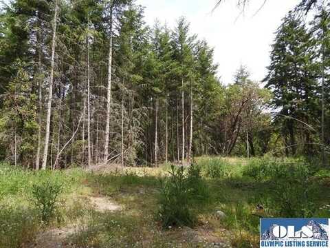 Lot 4 Kirner Road, Sequim, WA 98382